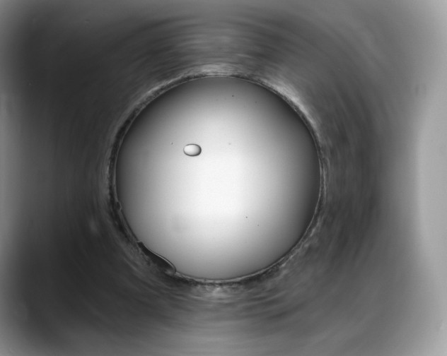 X0000088870297200706080726