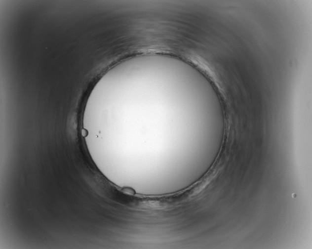 X0000088870298200706080726