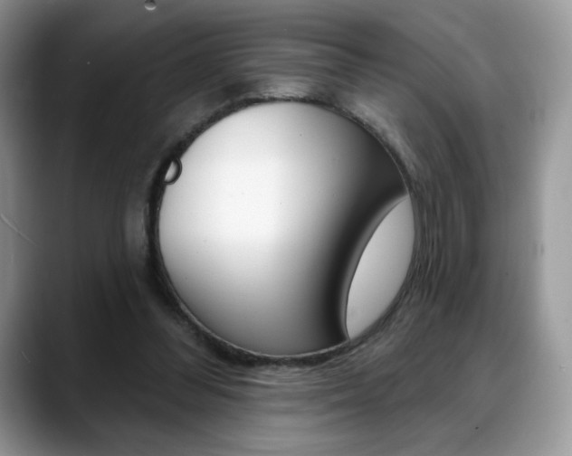 X0000088870300200706080726