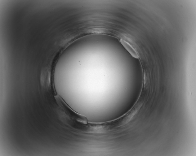 X0000088870301200706080726
