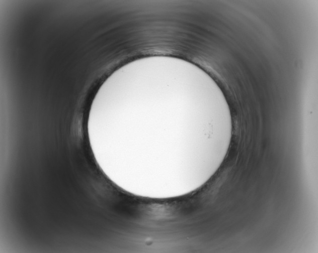X0000088870302200706080726