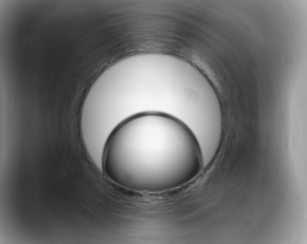 X0000088870305200706080726