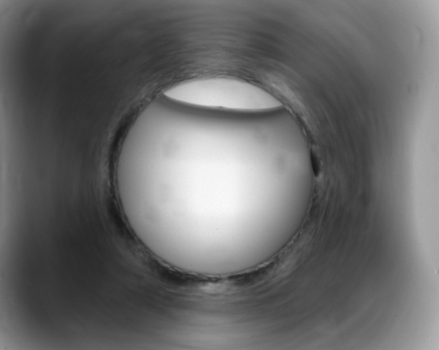 X0000088870306200706080726