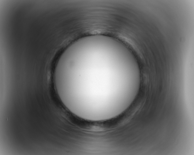 X0000088870308200706080726