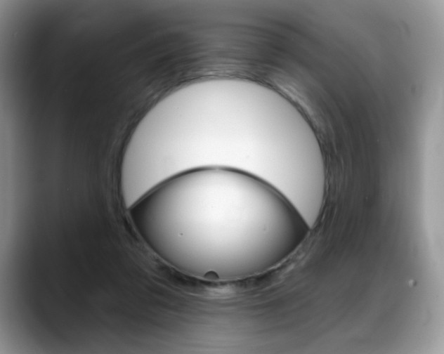 X0000088870309200706080726