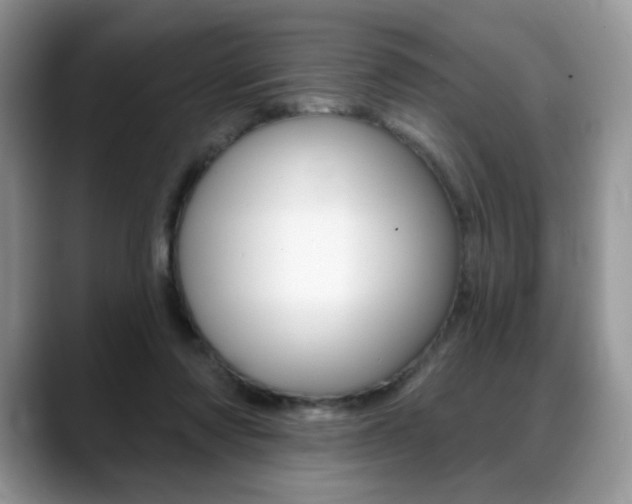 X0000088870310200706080726