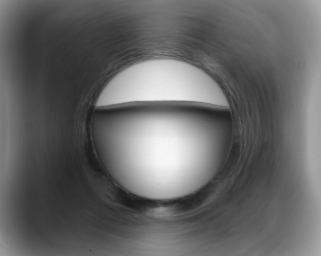 X0000088870312200706080726