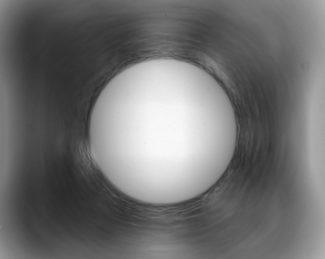 X0000088870313200706080726
