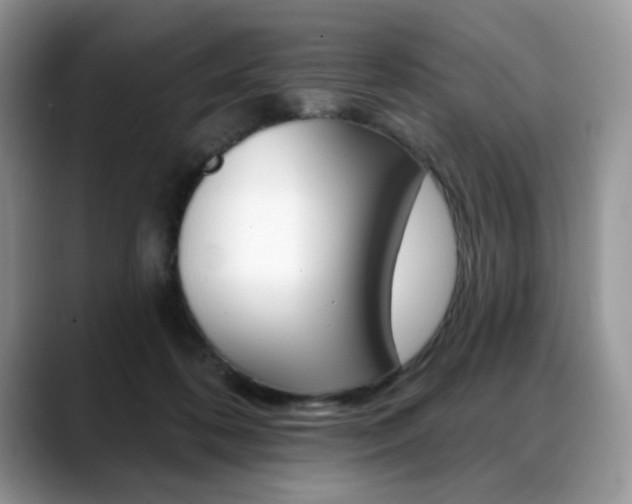 X0000088870316200706080726