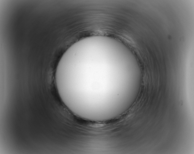X0000088870318200706080726