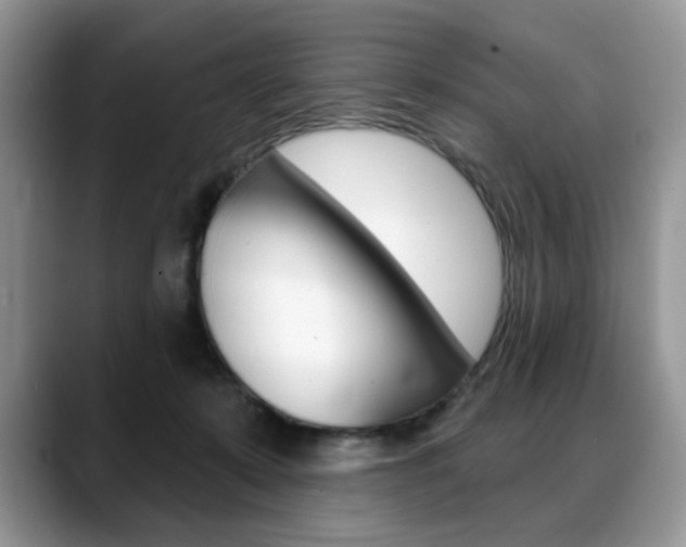 X0000088870319200706080726