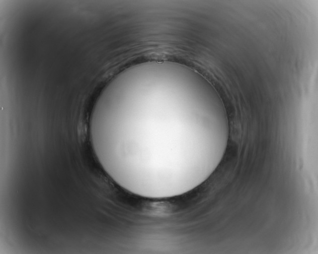 X0000088870324200706080726