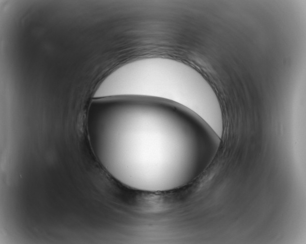 X0000088870325200706080726
