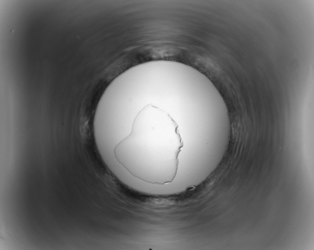 X0000088870327200706080726