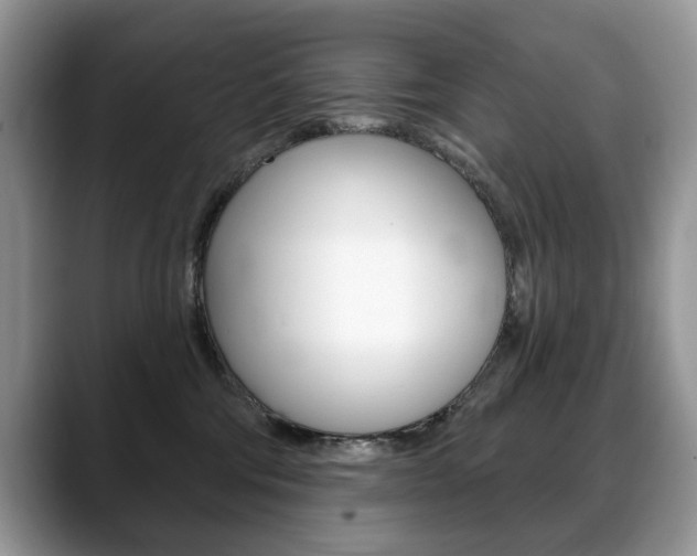 X0000088870330200706080726