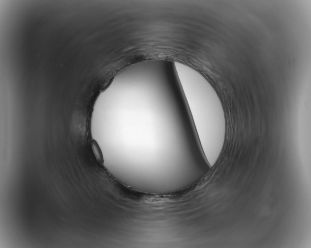 X0000088870331200706080726