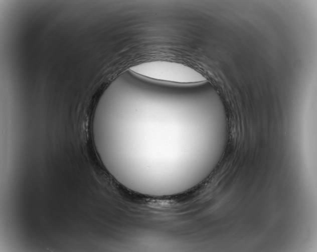 X0000088870332200706080726