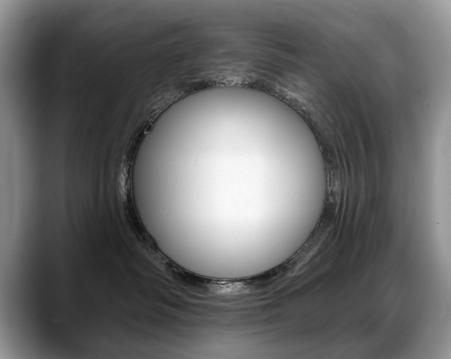 X0000088870334200706080726