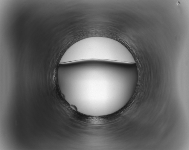 X0000088870336200706080726