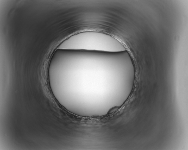 X0000088870337200706080725