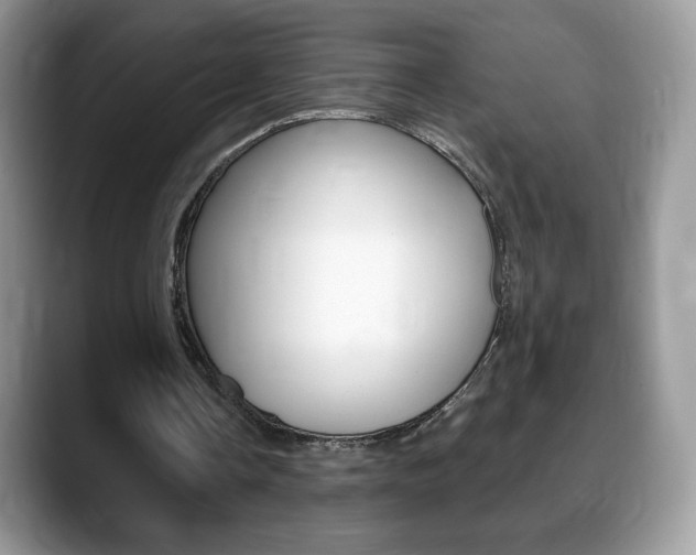X0000088870338200706080725