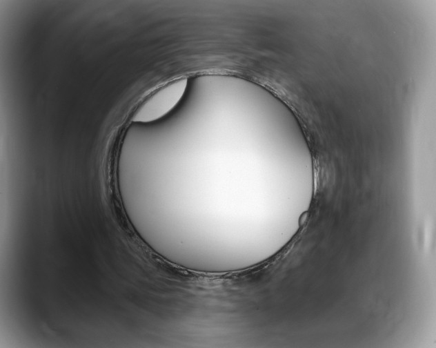 X0000088870339200706080725