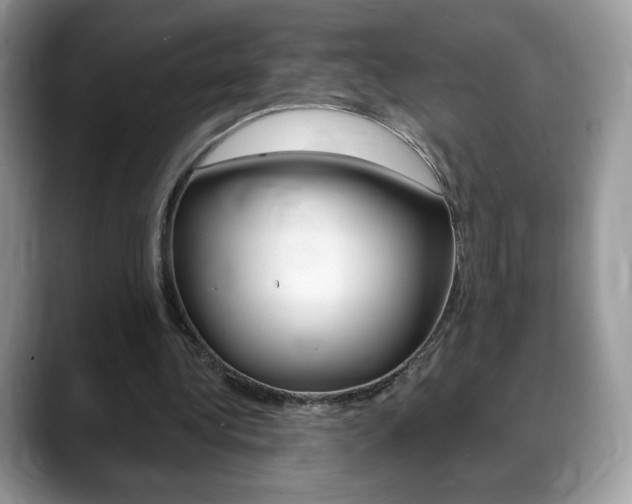 X0000088870340200706080725
