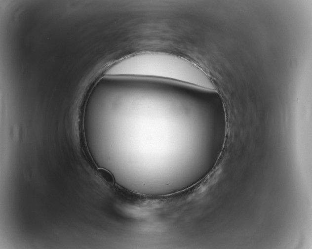 X0000088870341200706080725