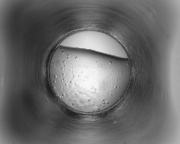 X0000088870347200706080725
