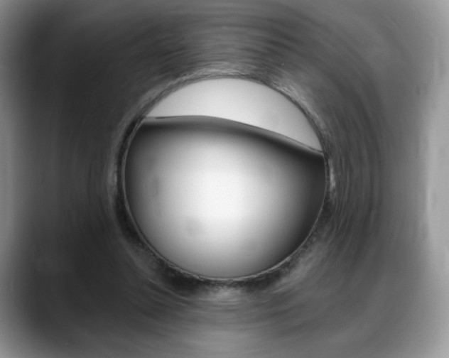 X0000088870348200706080725