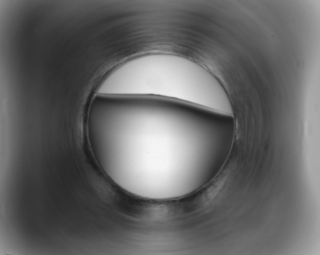 X0000088870349200706080725