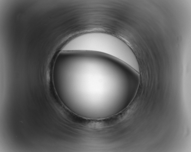 X0000088870350200706080725