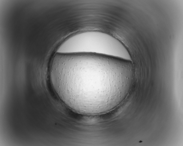 X0000088870351200706080725