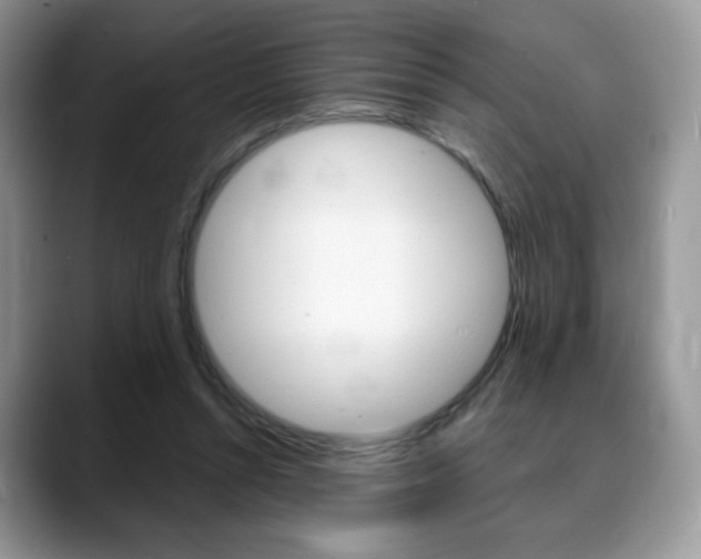X0000088870352200706080725