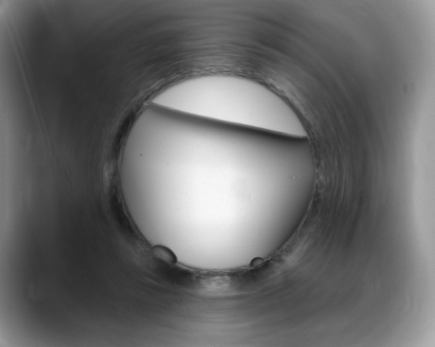 X0000088870355200706080725