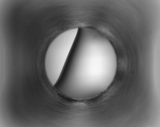 X0000088870358200706080725