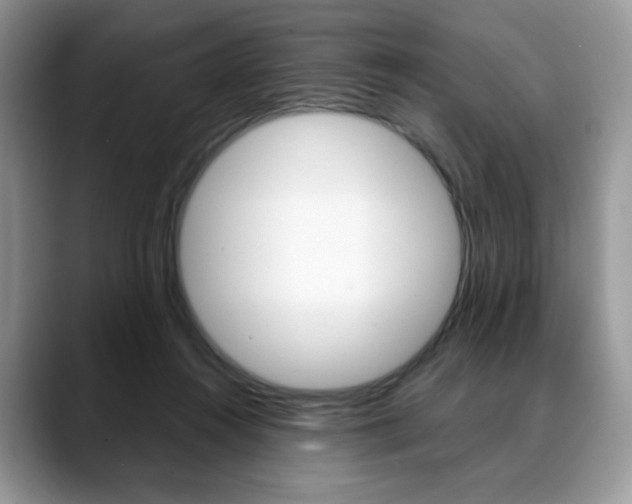 X0000088870360200706080725