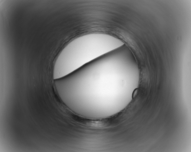 X0000088870361200706080725