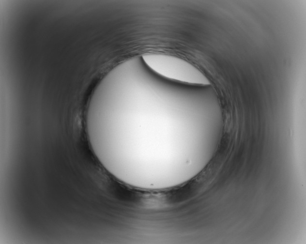 X0000088870363200706080725