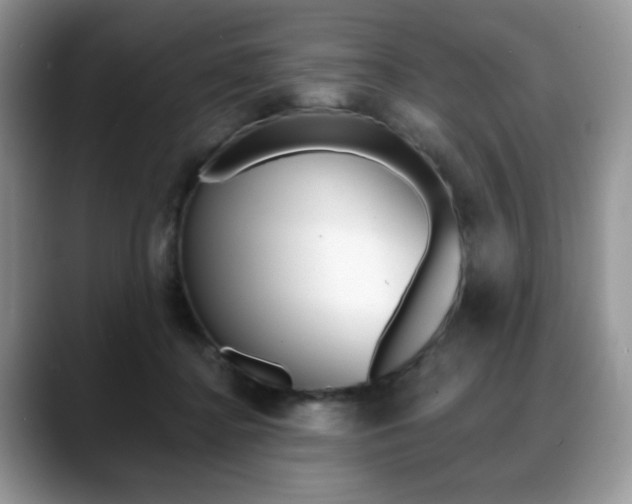 X0000088870364200706080725