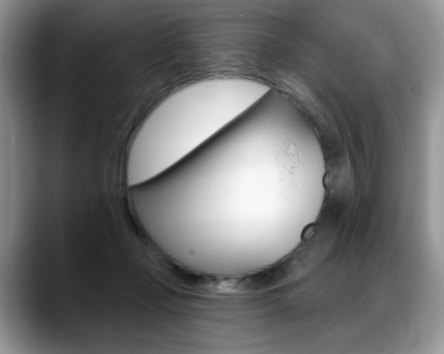 X0000088870365200706080725