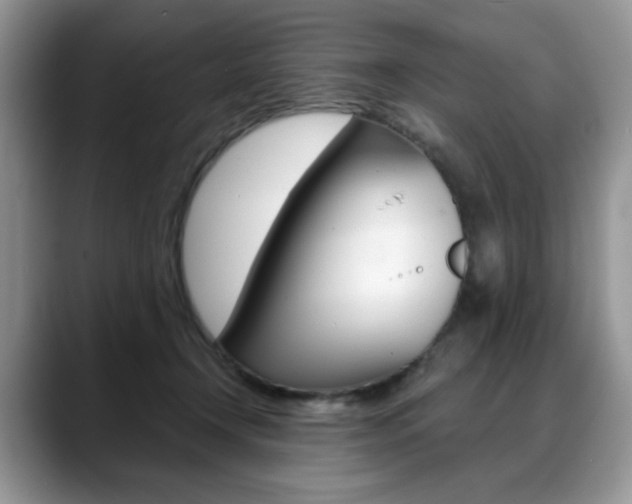 X0000088870366200706080725