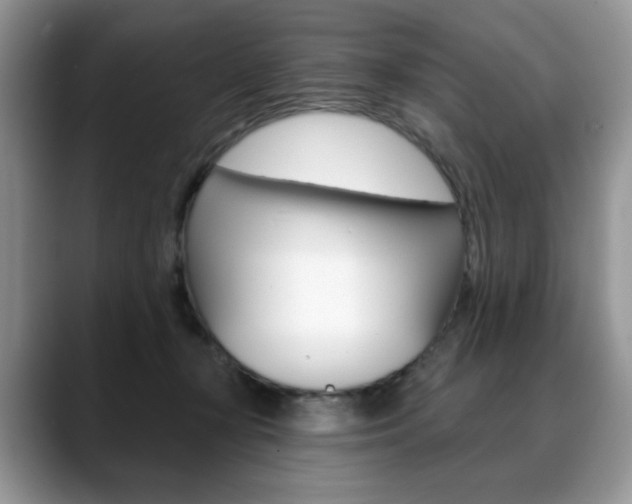 X0000088870367200706080726
