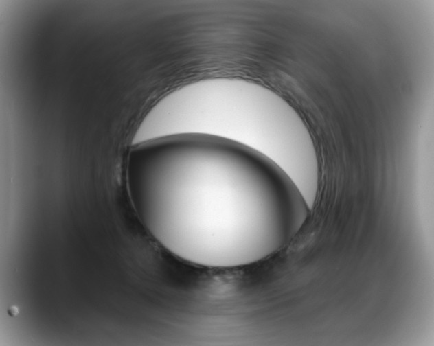 X0000088870368200706080726