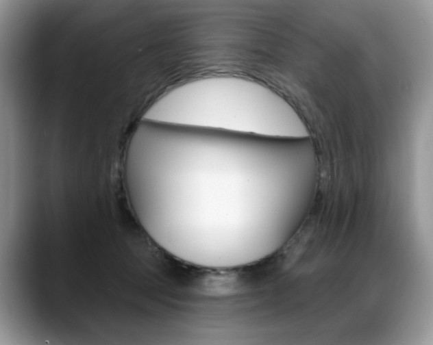 X0000088870369200706080726