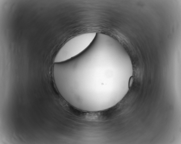 X0000088870373200706080726
