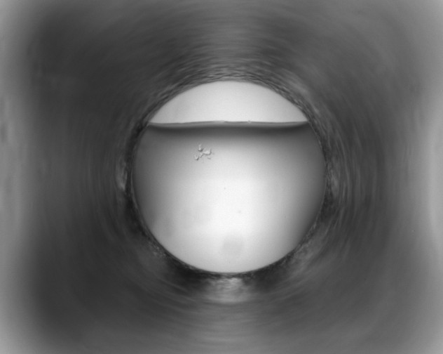 X0000088870374200706080726