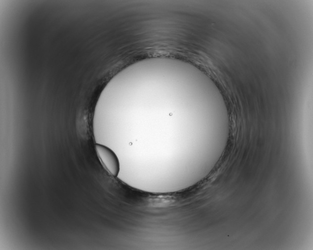 X0000088870378200706080726