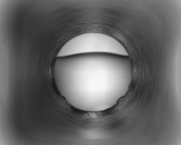 X0000088870381200706080726