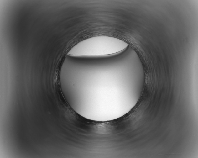X0000088870382200706080726